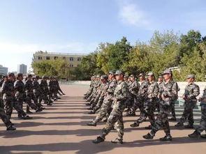 军训综艺爆料大全视频播放,揭秘幕后精彩瞬间