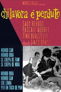 工作者迷失 在线播放,揭秘职场困境与自我救赎之路