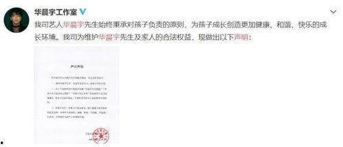 娱乐圈老板吃瓜视频下载,吃瓜视频背后的真相与幕后故事